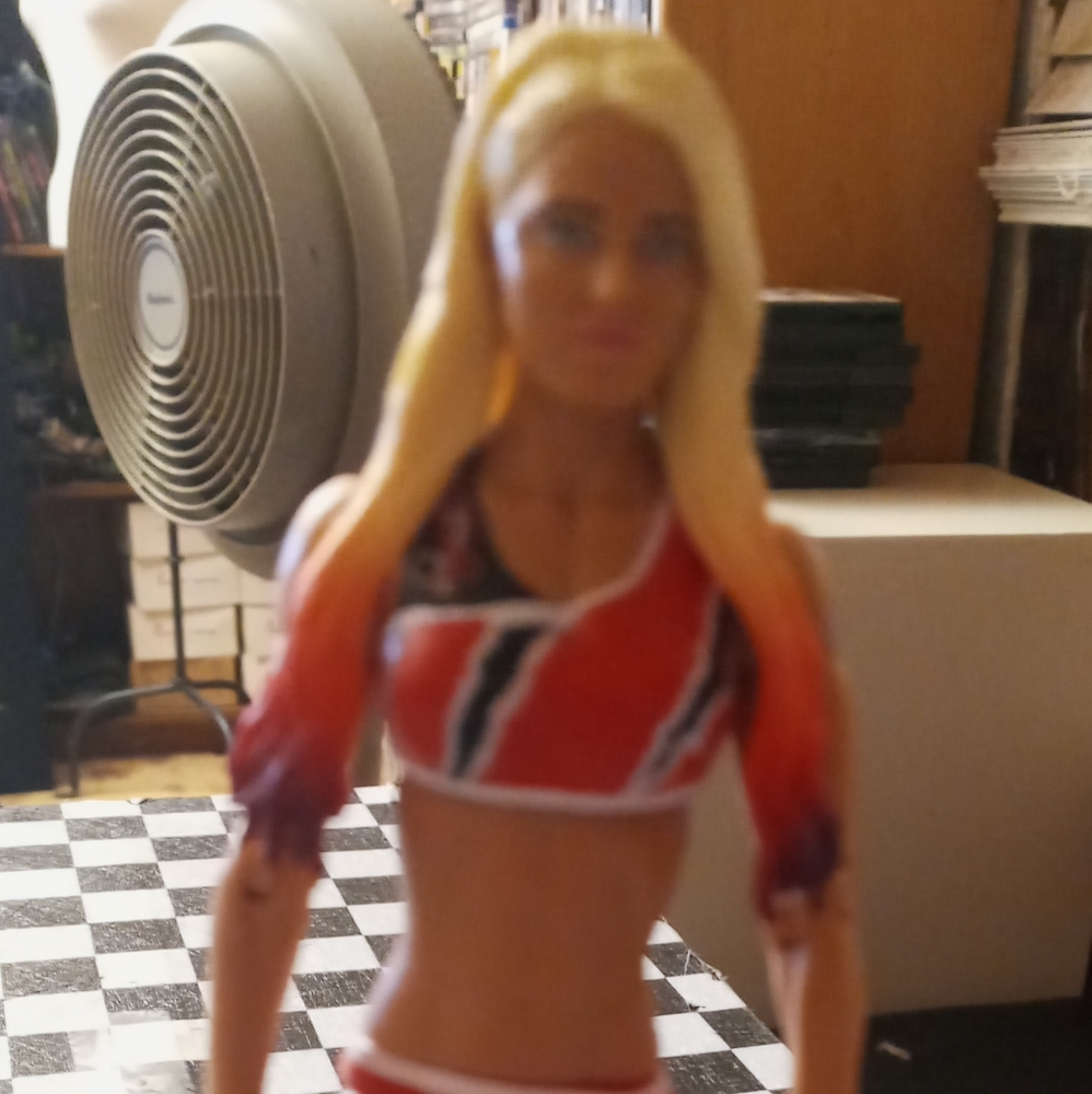 WWE Alexa bliss 6inch vintage 2013 - Picture 3 of 4